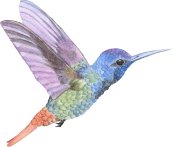 Ouverture Des Inscriptions Pour l'Année Scolaire 2024/2025